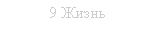 Підпис: 9 Жизнь
